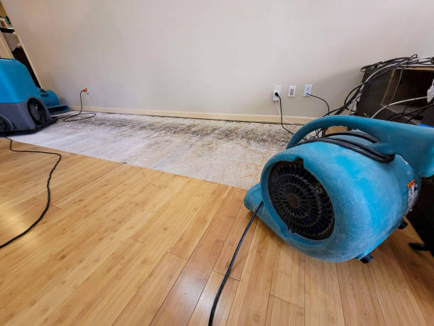 Professional Emergency Water Damage technician working in Downingtown, PA